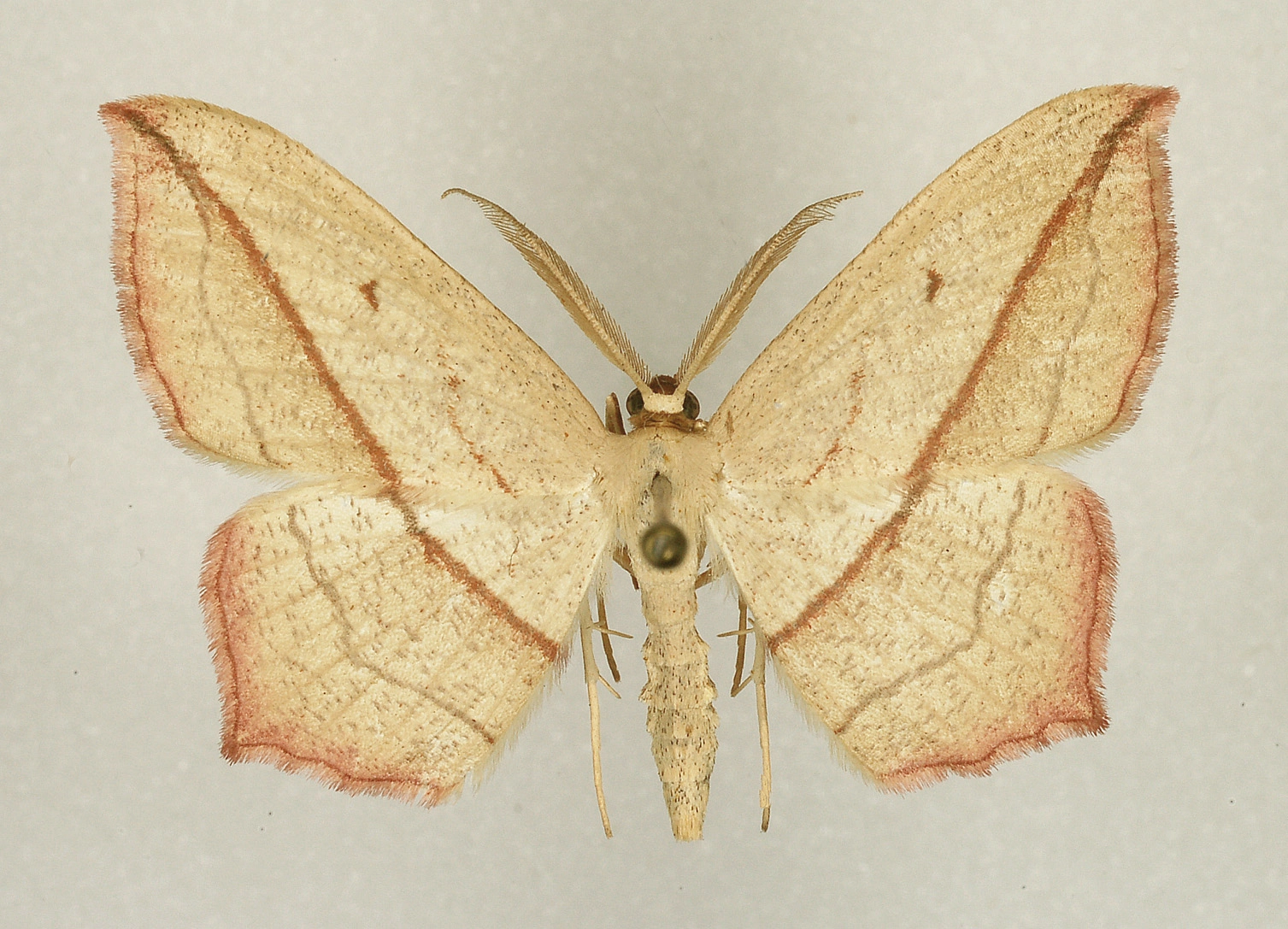 lieveling,museum, Rob de Vos, 23602.jpg